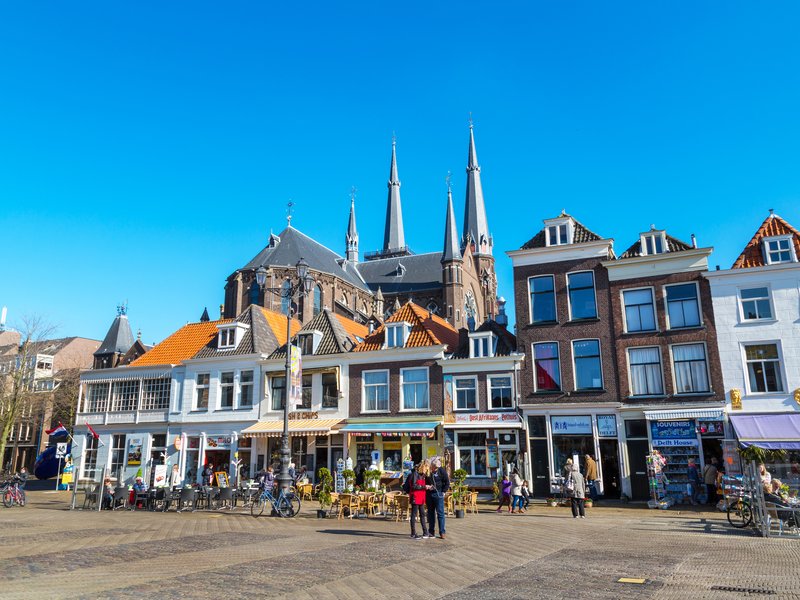 delft case