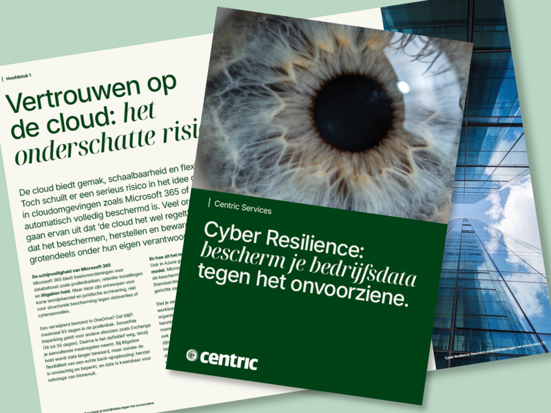Cyber resilience