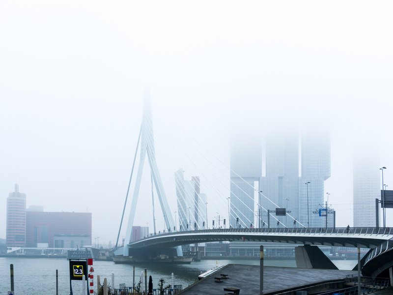 77430238_l