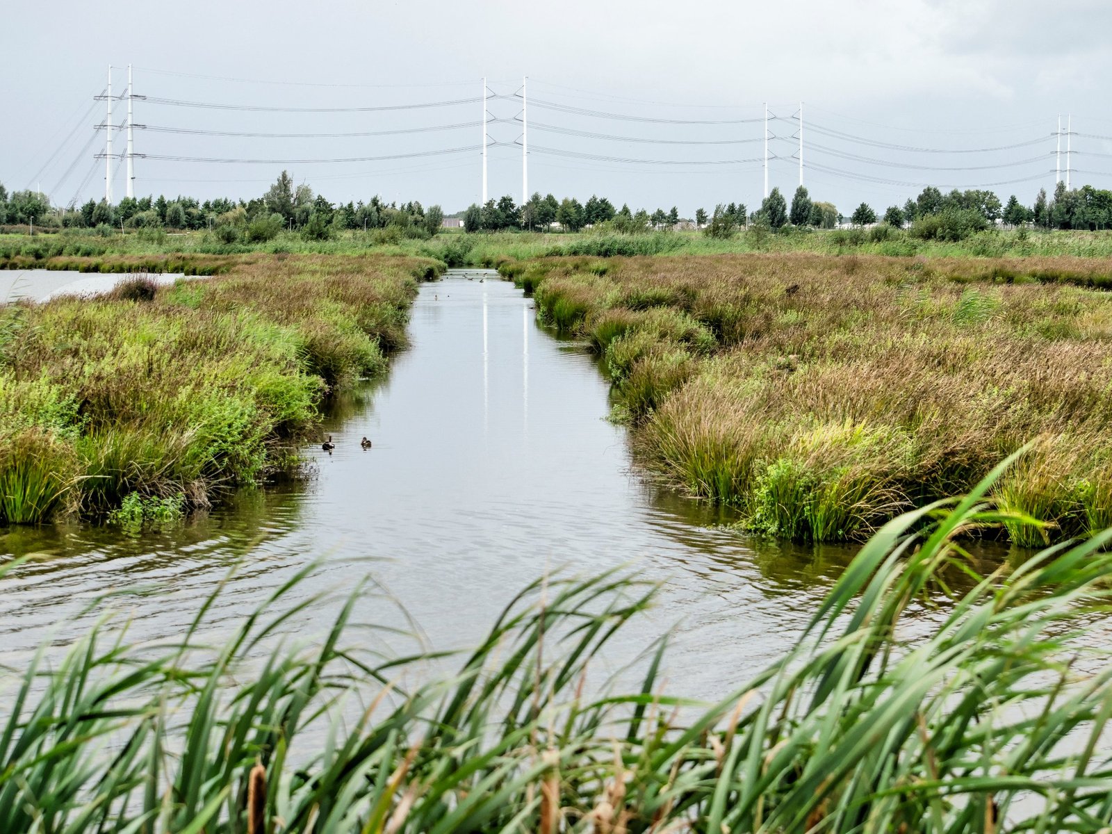Centric Lansingerland Burgerzaken.jpg