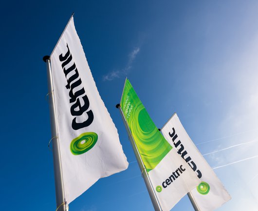 Centric flags