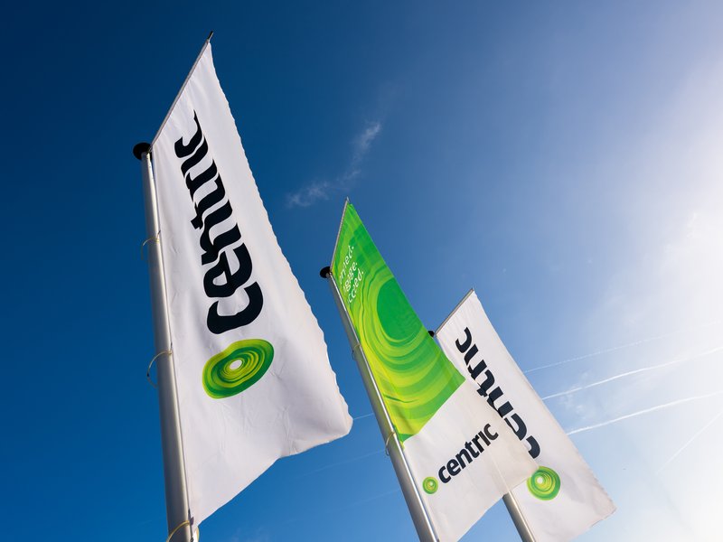 Centric flags