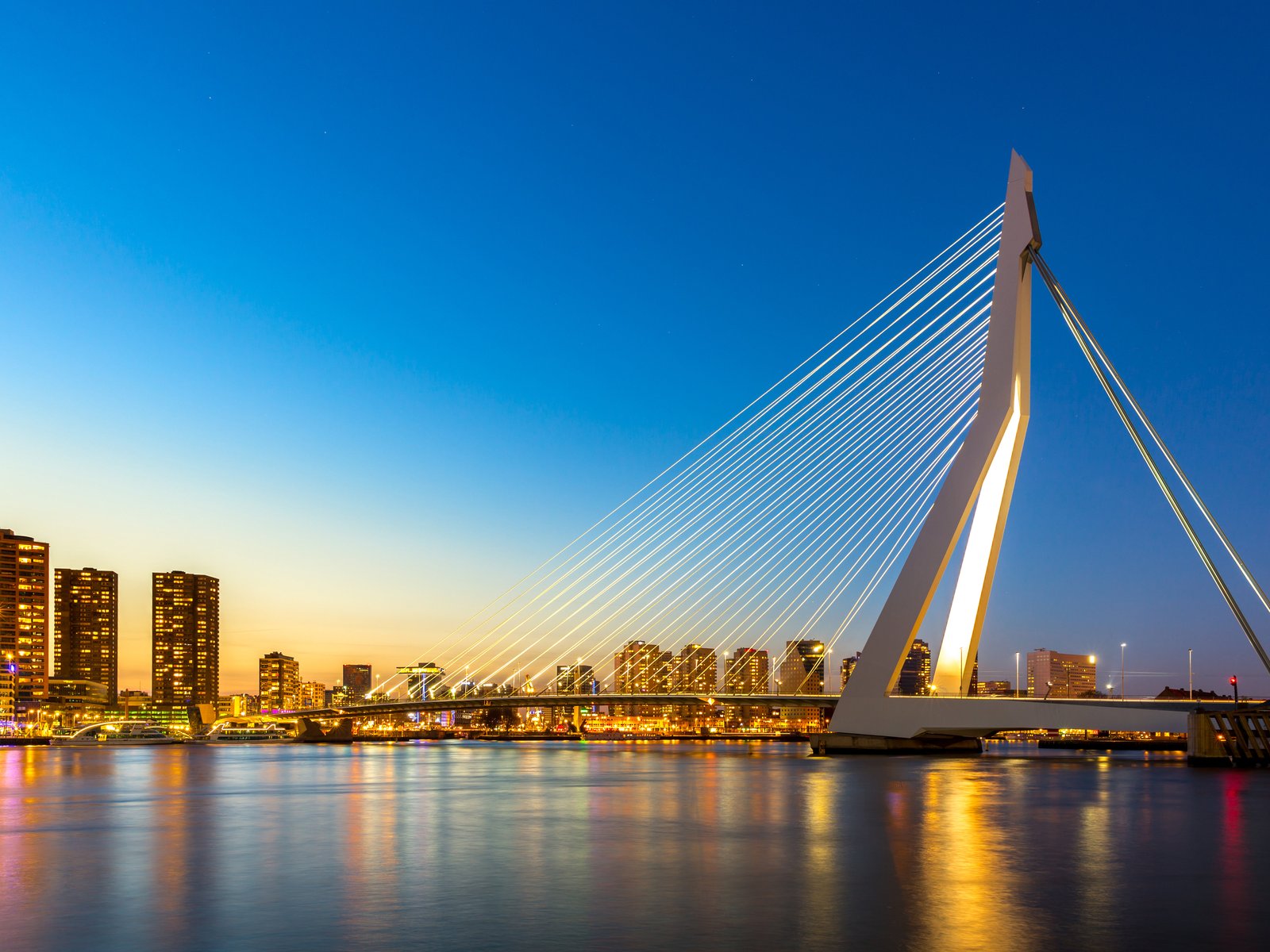 Rotterdam.jpg