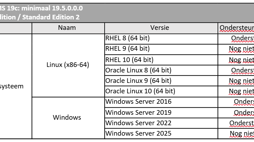 Screenshot Oracle RDBMS