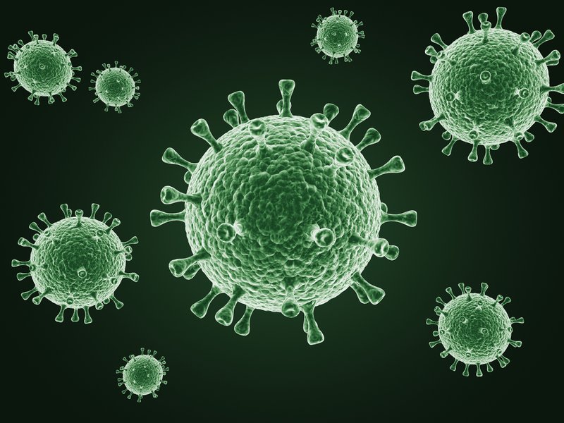 Virus.jpg