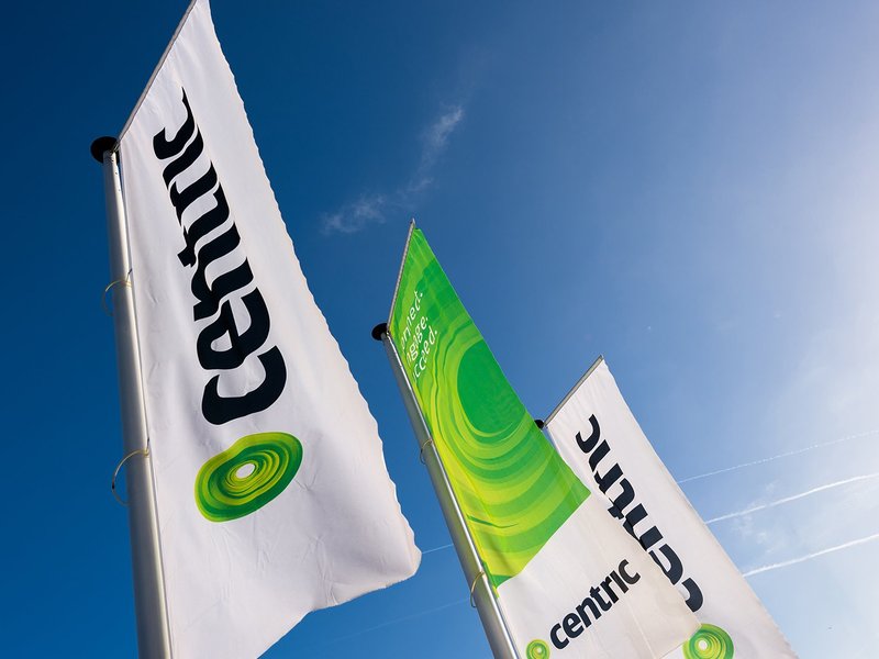 cor-flags-head.original.jpg