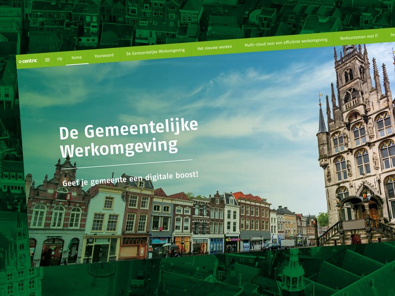 e-book gemeentelijke werkomgeving.png