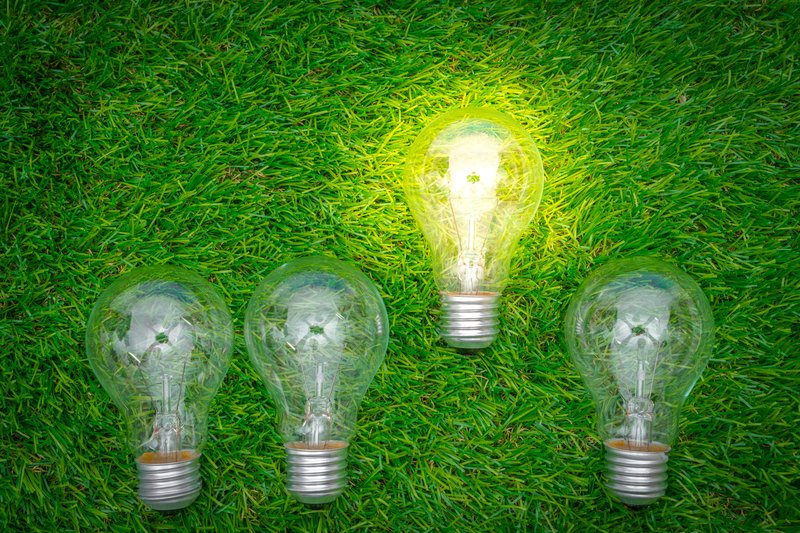 eco-concept-light-bulb-grow-grass