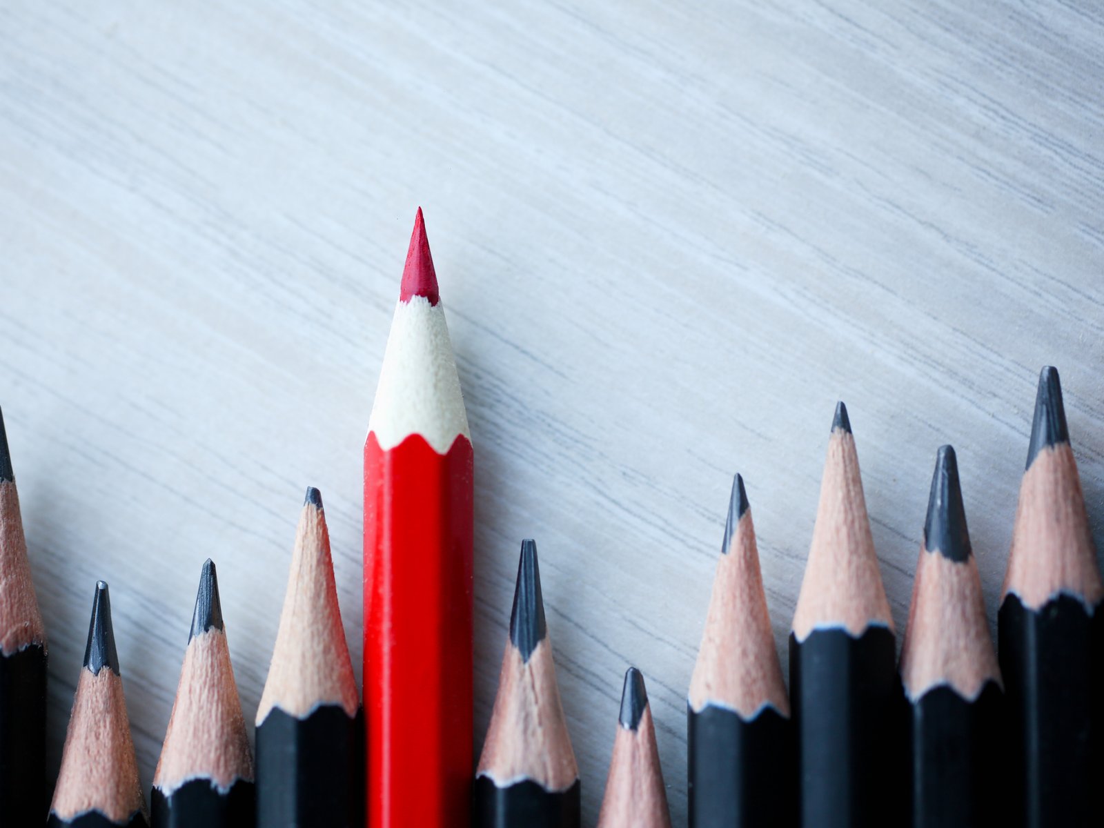 edienst beschikbaarheid stembureauleden - pencils.jpg