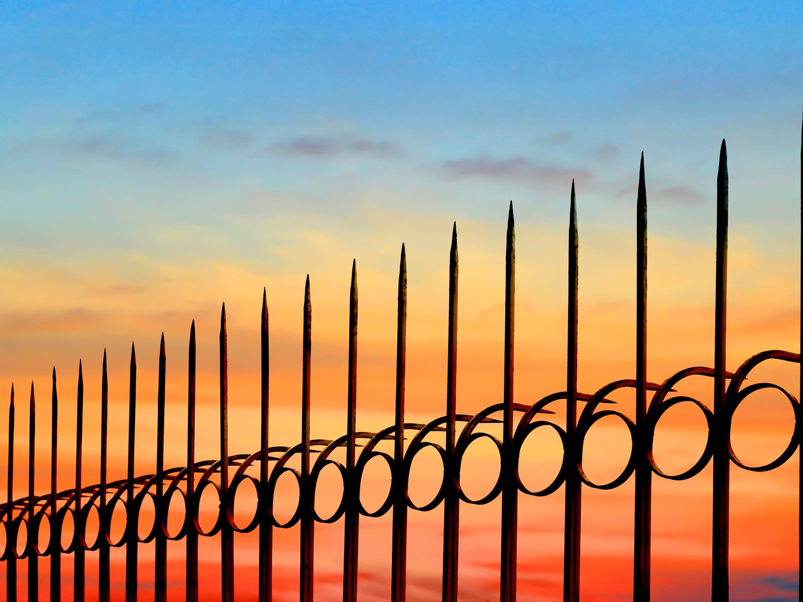 fence