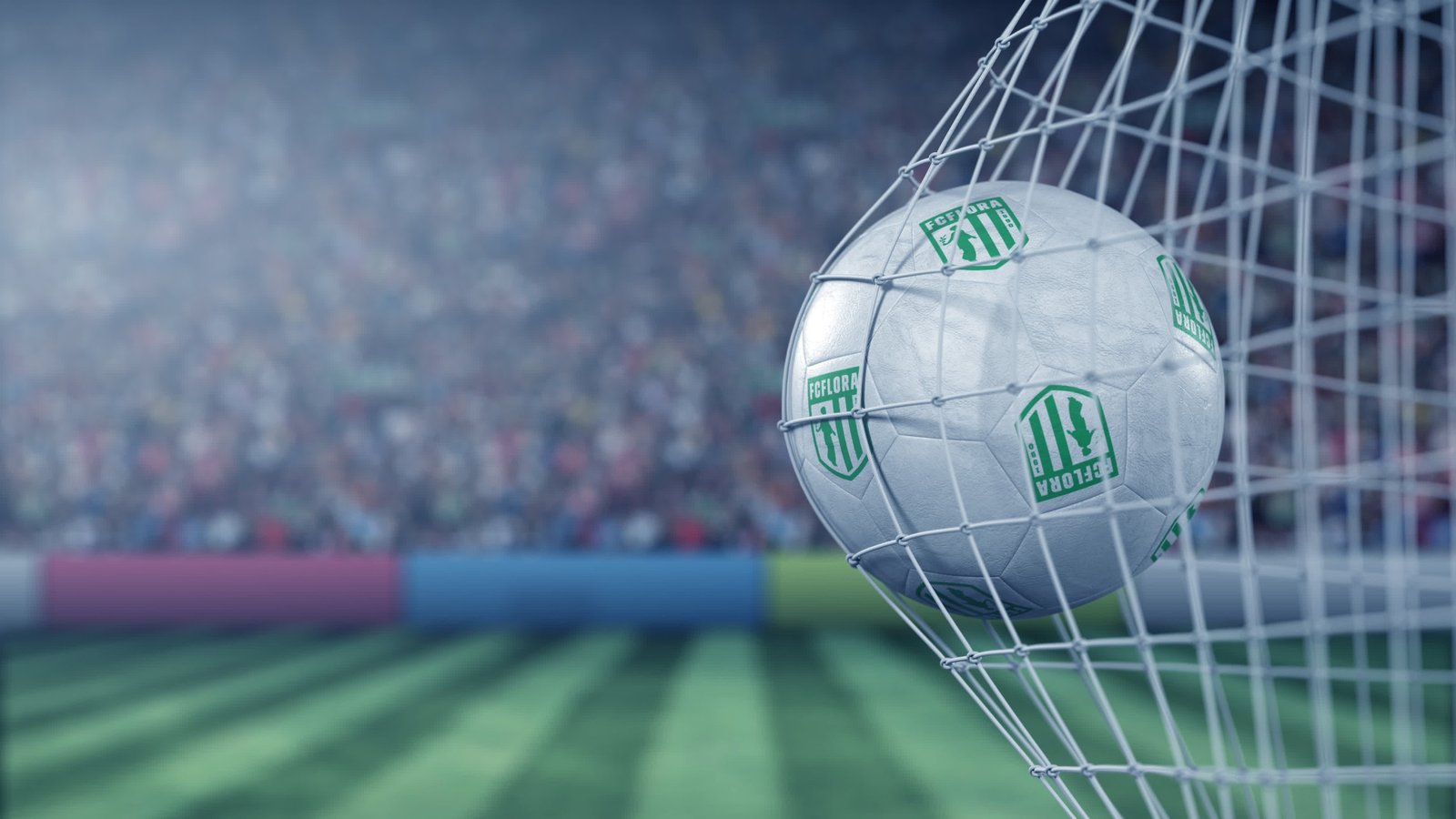 voetbal-in-net-gevangen